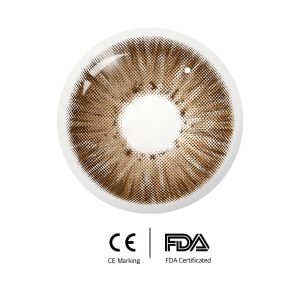 Unibling New York III Brown (1-Year)